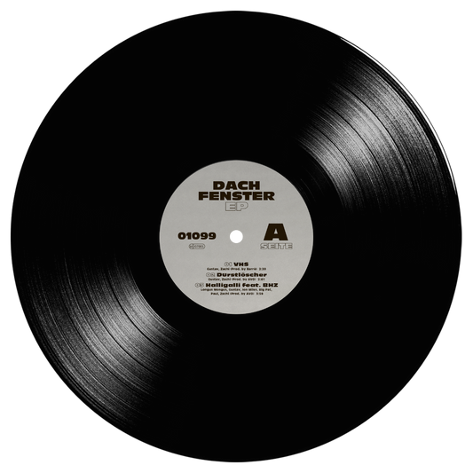 01099 - Dachfenster (LP - schwarz)